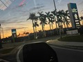“Mi palabra… no volverá a Mí vacía” Isaías 55:11  El agua produce cambios maravillosos en las regiones áridas. Por ejemplo, el cactus alfiletero está en estado totalmente latente durante la estación seca, pero, después de las primeras lluvias de verano, florece en un estallido, mostrando delicados pétalos rosados, dorados y blancos.  De manera similar, después de una tormenta, parecía que el suelo seco en Tierra Santa hacía brotar la vegetación de la noche a la mañana. Isaías usaba la renovación de la lluvia para ilustrar la refrescante Palabra de Dios: “Porque como desciende de los cielos la lluvia y la nieve, y no vuelve allá sino que riega la tierra, y la hace germinar y producir, y da semilla al que siembra, y pan al que come, así será Mi palabra que sale de Mi boca; no volverá a Mí vacía, sino que hará lo que Yo quiero, y será prosperada en aquello para lo que la envié” (Isaías 55:10-11). Las Escrituras producen vitalidad espiritual. Esa es la razón por la que no regresan vacías. Dondequiera que encuentran un corazón abierto, traen refrigerio, alimento y nueva vida.  La Biblia es para un alma sedienta lo que el agua es para un suelo yermo.