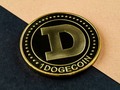 I just got some #dogecoin for the lolz.
