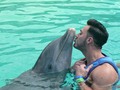 🐬💙 El delfín es considerado el animal marino más amigable del mundo, sus hazañas demuestran valentía, inteligencia y enorme nobleza.🐬💙