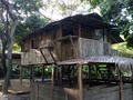 This is how the old haciendas dedicarles to the cultivaron of cocos in Ecuador during the 18th and 19th centuries looked like . . . . . . . . . .  . . .. .  . . .  . .  .  . . #hacienda #house #cocoa #countryside #ecuador #ec #history #old #culture #life #chill #parquehistorico #pic #picture #photography #chocolate #nature #tree #wood