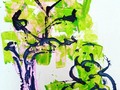 Little Forest