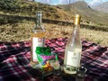 «Un vaso de vino en el momento oportuno vale más que todas las riquezas de la tierra»  #naturaleza #paisajes #riomarañon #vida #sierraliberteña🏞 #historia #filosofia