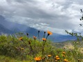 La naturaleza es nuestro origen y el lugar donde se encuentran todas nuestras sutiles necesidades de belleza, misterio y aventura.