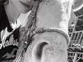 🐴 #lovehorses 💜#meencanta #animallovers El secreto del caballo ⬇️⬇️⬇️??