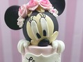 Minnie Mouse   #cake #cakedecorating #cakedesign #cakecakecake #cakedecorator #cakeart #cakecakecake #cakestyle #cakedecoration #cakegram #jennyblueth #jennybluethcakes