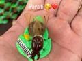 🐜viva Santander ❤️