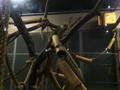 2013-08-05 01:39:52