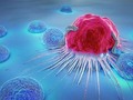 Identifican genes que permiten a células del cáncer eludir el sistema inmune - Listín Diario