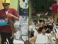 Así vive un hombre con 480 gatos - Noticias Caracol