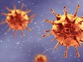 Detectan en Italia un caso de la variante británica del coronavirus - Semana