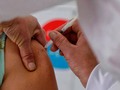 Invima alerta por visiones fatalistas frente a vacuna an - El Colombiano