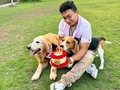 Si un perro no corre hacia ti después de mirar tu rostro, debes volver a casa y examinar tu conciencia 📝💛