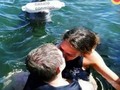 Que mal trip, el delfín le pidió matrimonio y ella se puso a besar a otro tipo enfrente de él, que desgraciada. 😡