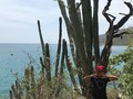 Baila y vive ... sin pisar a alguien en el camino, acuérdate que todo lo que deseas volverá a ti.