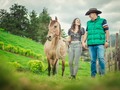 Hoy es una nueva oportunidad para ser feliz y cabalgar hacia tus sueños 🐎🐴  * * * * * * * * #photo #photooftheday #photomodel #photographer #portraitphotography #pic #portrait #picture #instaphoto #quinceañera #girls #picoftheday #caballosmujeres #caballos #caballistasdecorazon #quinceañera #prequince