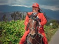 @criaderohaciendavillaluz  * * * * * * * * * * #photo #photooftheday #photomodel #photographer #portraitphotography #pic #portrait #picture #instaphoto #quinceañera #girls #picoftheday #canonphotography #caballos #caballosmujeres #caballistasdecorazon #colombia