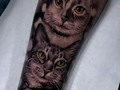Retrato de unos lindos gatitos ¿déjame saber qué les parece? @bestialink_oficial @tattoofixcare @stigma_tattoo_supply   #tattooideas #tatuajesgatos #amoralosanimales #gatos