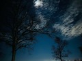 🌔Lunera!