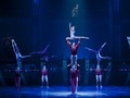Cirque du Soleil declaró en bancarrota   #1Julio