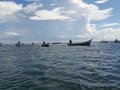 Pescadores de Punta Cardón manifiestan su malestar, ante lo que ellos califican de indiferencia del CRP con respecto a la afectación del Golfete de Coro, que afecta a 30 consejos de Pescadores de Paraguaná.   Alrededor de 1300 lanchas en Paraguaná son afectadas. Los pescadores deben emigrar a otras áreas para buscar el sustento.   Reclaman Saneamiento del golfete y resarcir daños a los pescadores artesanales.   En desarrollo.  #Noticias  #Venezuela