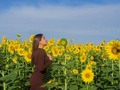 Flores Amarillas #dia #flor #amarillo #venezuela #girl #flawers #pic #naturaleza #day #2023 🐝💛🌼🌻
