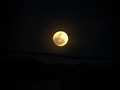 #moon #luna