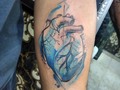 #tattoo #tatt #tatuaje #corazoncolor #tatuagem #megusta #art #pieltatuada #arteenlapiel #watercolortattoo cuando llevas la tinta en el corazón esto es el resultado para cita 8097127622 o al DM