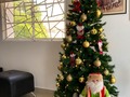 Bueno ahora si quedo listo el árbol falta algo más pero se lo pongo luego