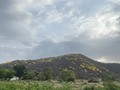 Primera vez que veo esto en santa Marta, la verdad que se muy lindo ver toda santa Marta vestida de amarillo