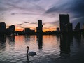 ORLANDO SUNSET // .  Weather is changing and this are getting colder! Are you excited for this Winter? .  Photo taken with Canon 6D. Since I updated my Canon t3i to the 6D, I can really notice the resolution, depth of field that give you the camera, Etc. But, the main reason of this is that Cameras are just tolls. You don't have to buy the most expensive camera in the market to be a better photographer. I used my Canon t3i over 5 Years, and all the content on my Instagram is from that Camera. So, my point is that, Is nothing about " The lens ", " The Camera " is about the photographer.