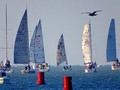 Regatta La Rochelle #sailing #boats #La Rochelle