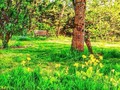 #spring #john #garden #vendée #house