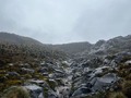 #frailejones #nevado
