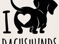 ❤️🐾👑