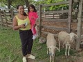 Un recorrido con la abuela conociendo otro lugar lindo de nuestro país SOPHIA mi 2 experiencia más hermosa de mi vida #amoserpapa "ustedes ya saben cual es mi 1 experiencia 🤣🙈❤️ lo mas tierno de la vida..."