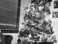 🎄