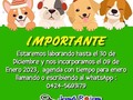 #peluqueriacaninabarinas #peluqueriacanina #perruqueria #groomer #barinas #venezuela #josgra