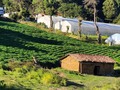 🤩 casita mágica ✨️ bueno así se ve 🤭