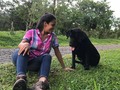 Me encontré esta preciosidad y fui la más feliz, es q en donde hay perritos siempre hay amor 💕