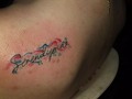 2023-05-03 00:23:12