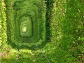 túnel del amor
