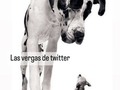 Para qué no se ilusionen..!
