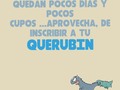 Guardería 👼🏼 #Querubines👼🏽 @j_querubines es un centro educativo con 7 años de experiencia. Atendemos niños desde los 3 meses hasta 4 años.  Nuestra misión es *formar niños felices con herramientas creativas e innovadoras en el aprendizaje aplicando medios no usuales*. Contamos con personal calificado. Y estamos listas para recibir a tu bebé y darle el mejor cuidado, atención y la más creativa iniciación en el aprendizaje !  Más información por el 04143741267