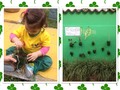 #aprendizaje #planta #aprendizajesignificativo #aprendizajedivertido #creatividad #niños #niñas #bebes #nenes #QUERUBINES #cuidandoangelitos #guarderia #maternal #Mérida #Venezuela #LaPedregosa
