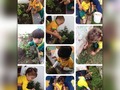 #diadelatierra2016 #guarderia #maternal #Mérida #Venezuela #niños #planta #bebes #creatividad #educación #formación #estimulacióntemprana