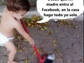 Humor