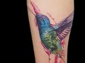 Colibrí . Full color . Técnica . Realismo con acuarela .. espero les guste