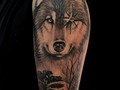 Lobo en realismo grises. Espero les guste .