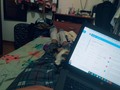 Mientras papá se la duda, manzana 🍏  Duerme feliz 🥰🥰😻😻