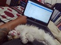 Amo la comodidad de su ciesta de medio día 🥰
